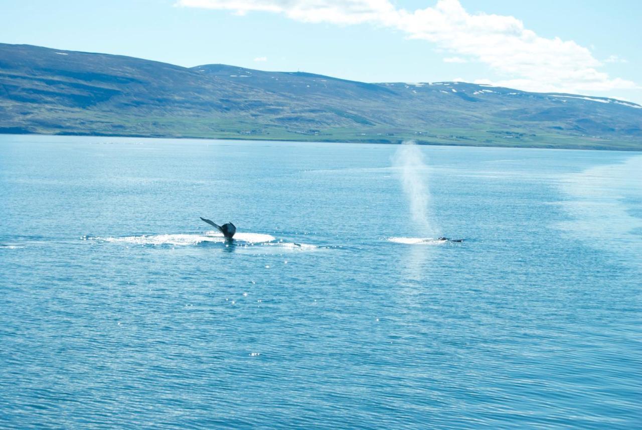 Sky Sighting Igluhus - Stay'In Arbakki Arskogssandur المظهر الخارجي الصورة