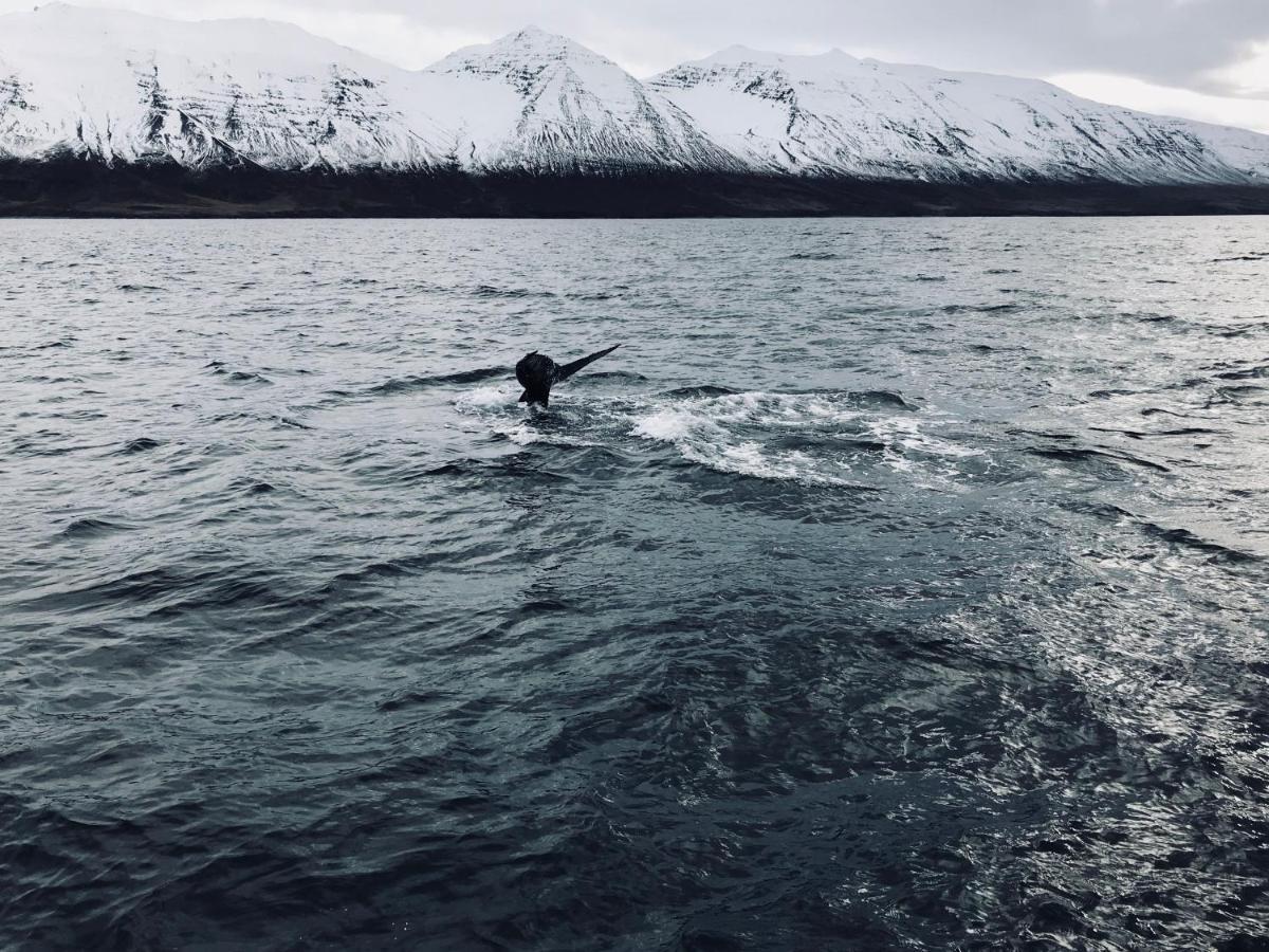 Sky Sighting Igluhus - Stay'In Arbakki Arskogssandur المظهر الخارجي الصورة